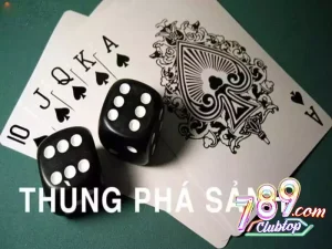 Thùng phá sảnh xì tố là liên kết bài cực may mắn